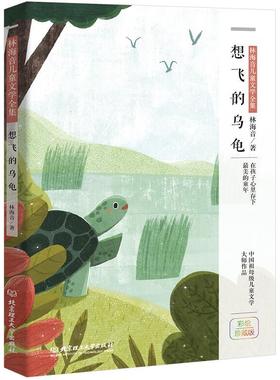 新书正版 现货 想飞的乌龟让孩子遇见和妈妈一样美丽的童年 温暖感动的童年故事 每个孩子都不可错过 中小学生阅读书籍uvw