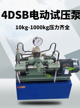 4DSB（Y）电动试压泵 可调压的试压泵 阀门锅炉活塞式电动打压泵