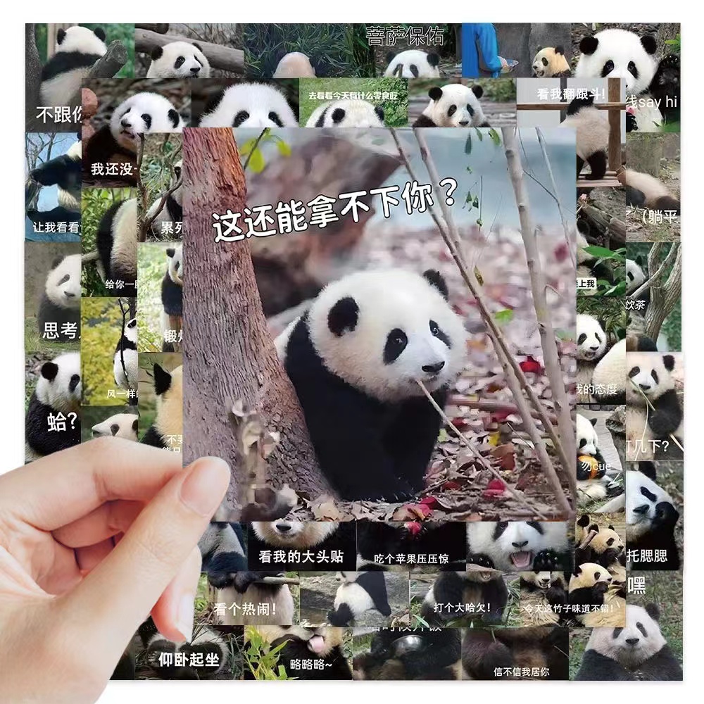 124张大熊猫花花表情包贴纸可爱熊猫个性装饰diy手账素材防水贴画