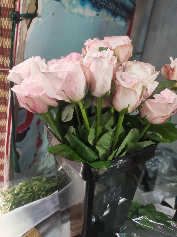 武汉实体花束 19朵粉荔枝玫瑰 武汉市区送货上门 配送到家 生日