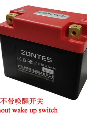 升仕ZT250 ZT310X/T/R/V启动锂电池胶体蓄电池12v伏电瓶通用原装