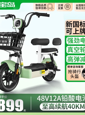 宝岛新国标电动车小型成人女士电动自行车可上牌代步新款电瓶车