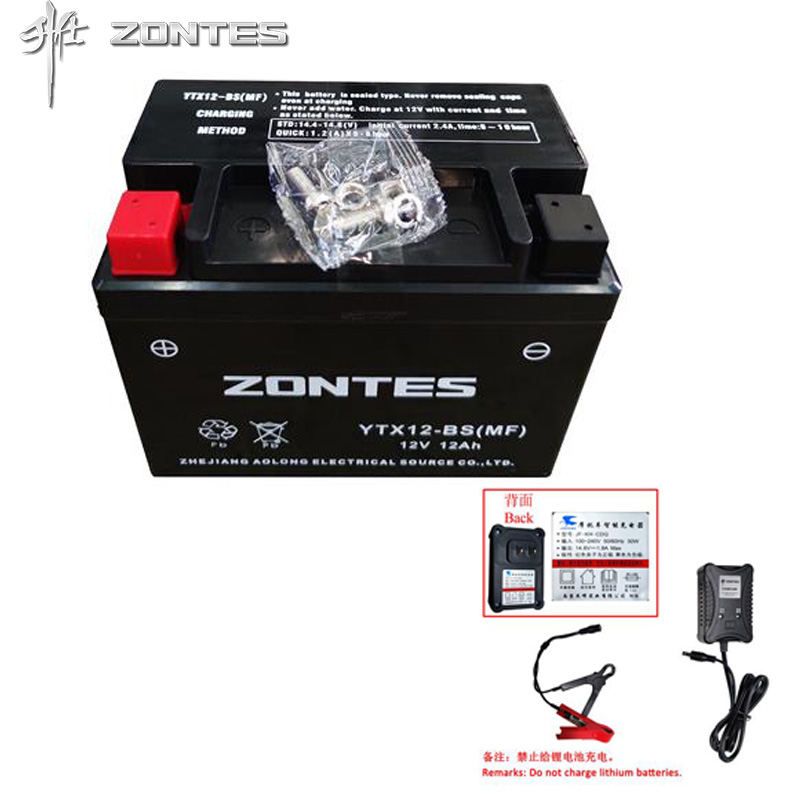 升仕ZT350/310/150T-DEM踏板摩托车胶体电池电瓶充电器电池盒配件