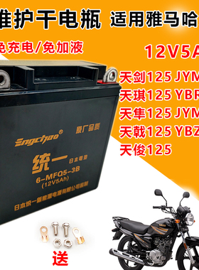 雅马哈125天剑天戟YBR/JYM125摩托车统一免维护蓄电池12V5A干电瓶