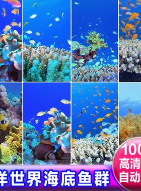 海底世界海洋生物鱼群珊瑚礁石自然风景竖版LED大屏视频素材背景
