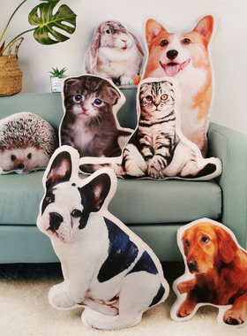 来图定制猫狗抱枕人物照片卡通动漫宠物刺猬鸟鱼兔3D仿真抱枕订做