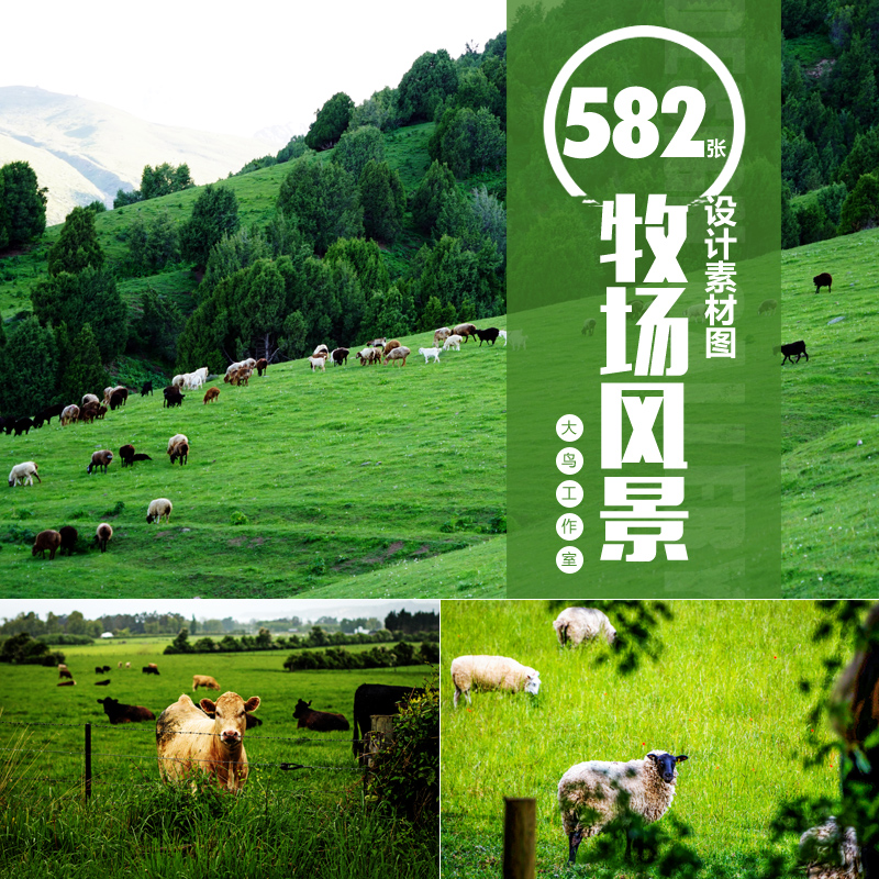 美丽牧场风景素材大图天然原野绿色草原背景牲畜动物图片JPG