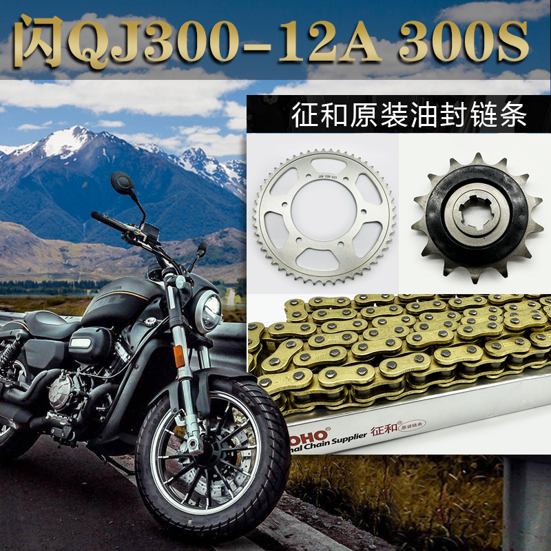 适用于钱江闪QJ300-12A 300S摩托车套链链轮征和油封链条改装小齿