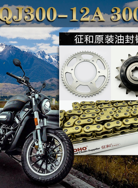适用于钱江闪QJ300-12A 300S摩托车套链链轮征和油封链条改装小齿