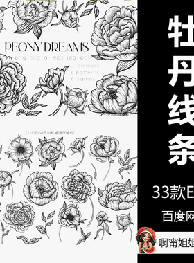 牡丹线条艺术手绘花卉花朵系列插画简笔画EPS源文件设计素材新品