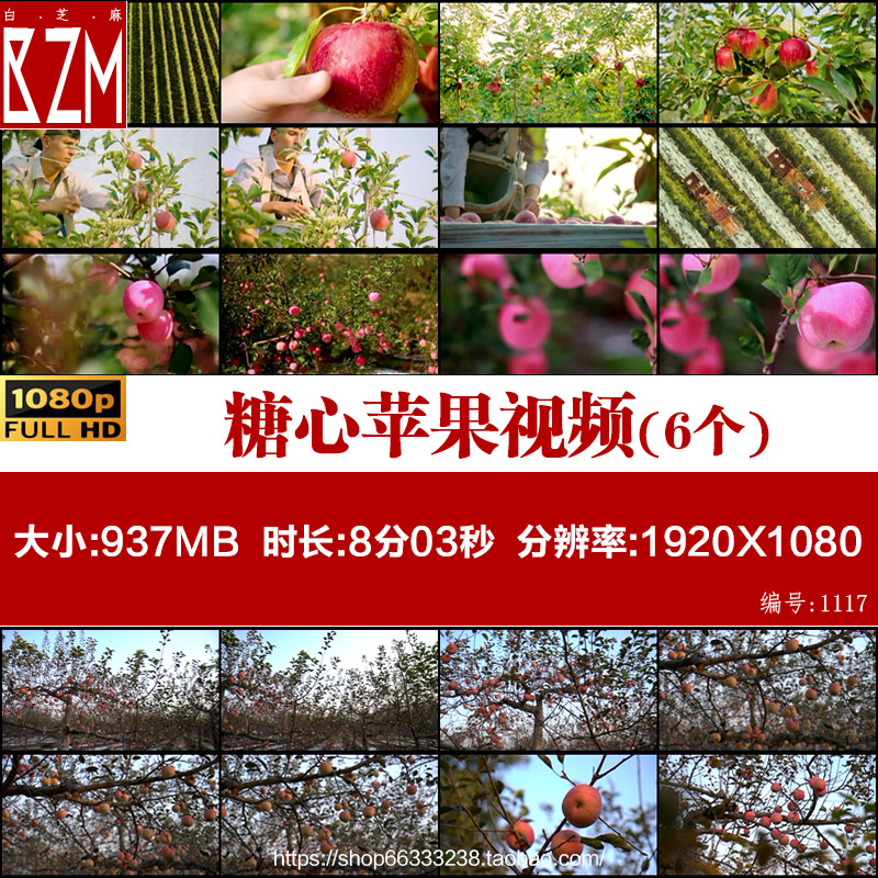 昭通苹果阿克苏苹果烟台苹果糖心苹果园丰收高清实拍视频素材合集