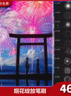 烟花绽放procreate笔刷烟火礼花新年节日氛围夜景梦幻iPad插画笔