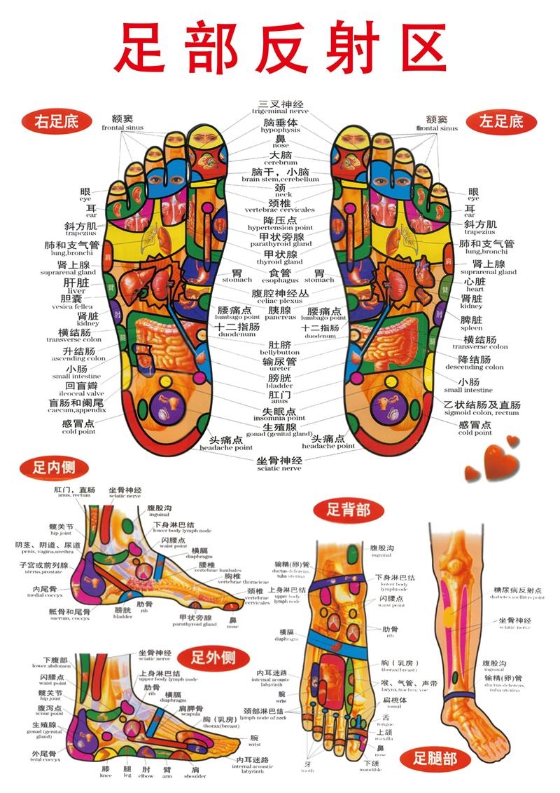 足部反射穴位图养生美容院足底按摩海报足疗的十大好处脚底穴位图