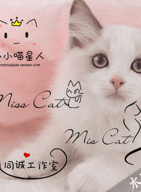 个性卡通手绘签名LOGO设计可爱猫咪宠物水印设计防盗水印61