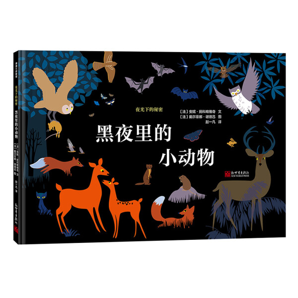 正版书籍 蒲蒲兰探索馆：夜光下的秘密--黑夜里的小动物（精装绘本） 安妮·扬科略维奇 新世界