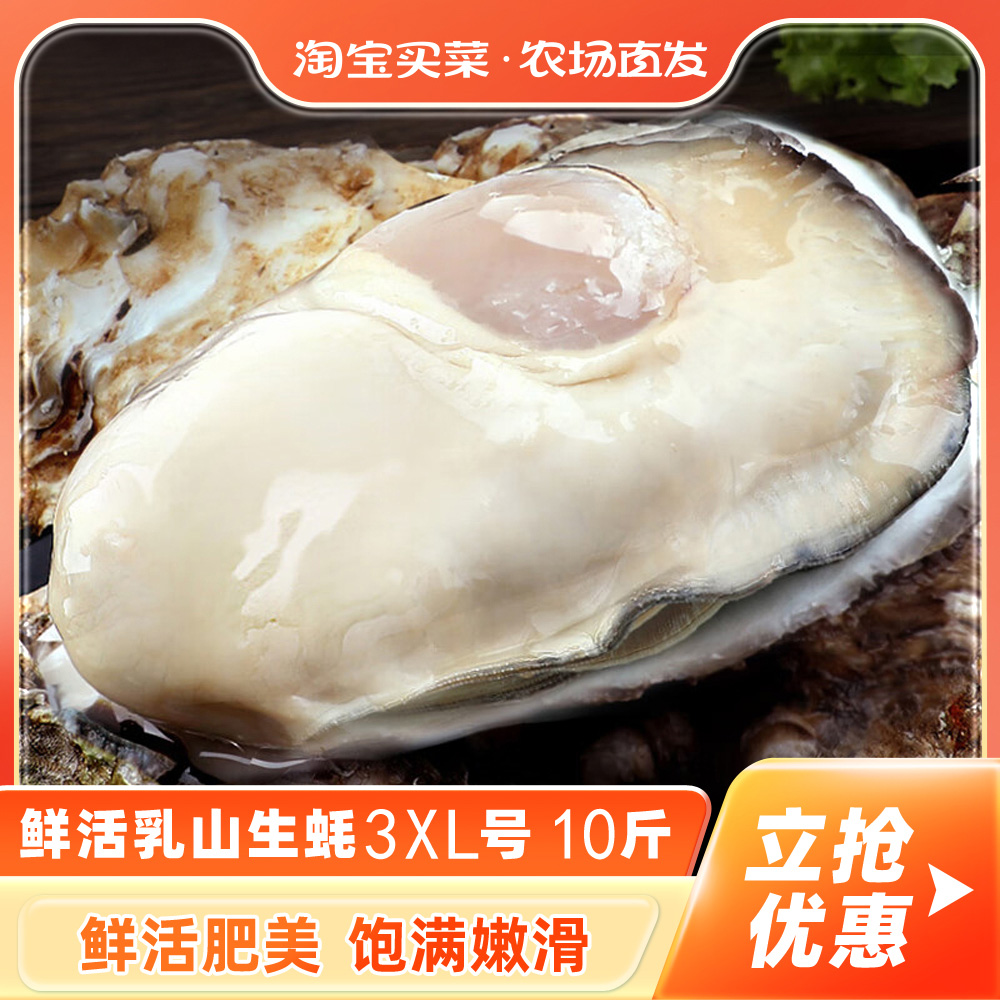 鲜活乳山生蚝3XL 10斤新鲜牡蛎超大肉海蛎子带壳刺身即食海鲜水产