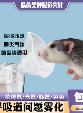 花枝鼠雾化呼吸道护理感冒喷嚏肺炎支气管仓鼠荷兰猪小动物雾化器