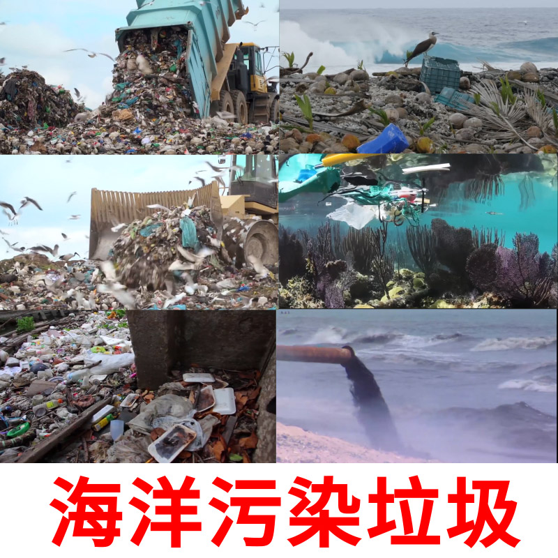 海洋环境污染海底垃圾白色塑料垃圾饭盒塑料环境保护实拍视频素材