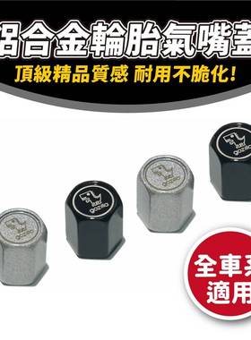三阳蜂鸟 CLBCU 轮胎气嘴盖 气嘴台湾品牌 XILLA吉拉 改装配件