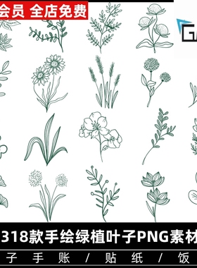 手绘植物花卉叶子花朵花边花纹线描线条线稿高清PNG素材