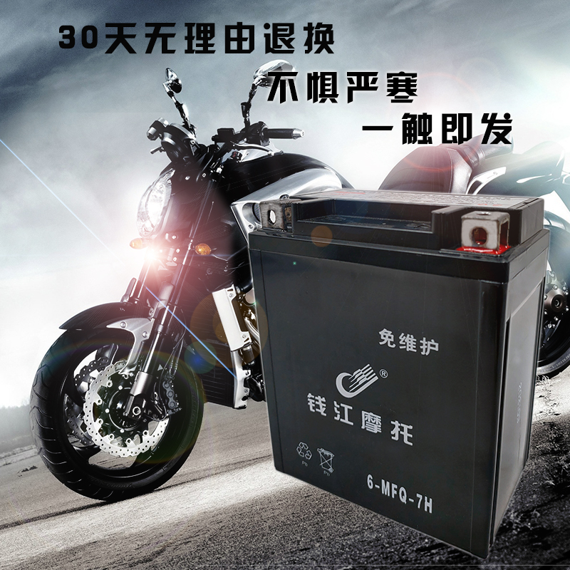 适用摩托车12V9A免维护干电瓶全新GS铃木王太子125骑士150干电池