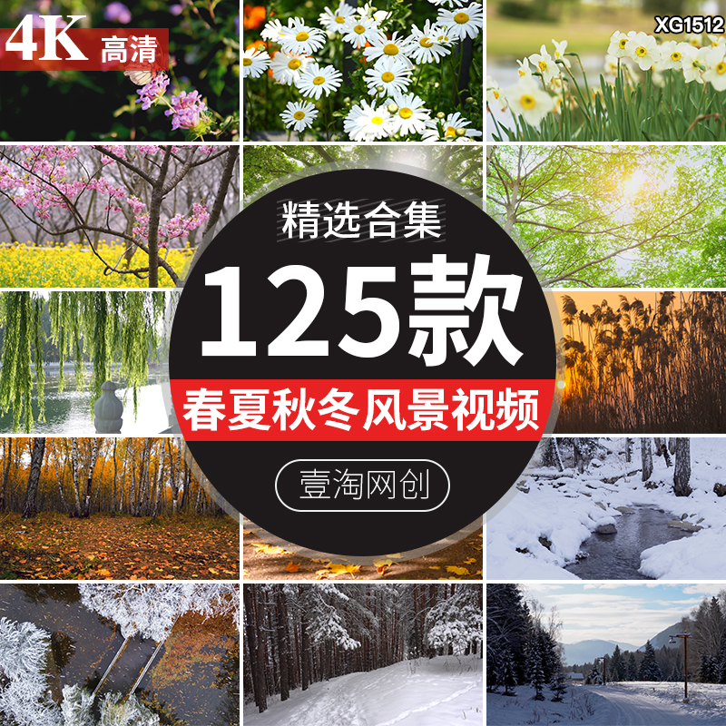 春夏秋冬天气季节四季变化更替春暖花开枫叶雪景LED背景视频素材