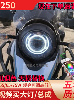 适用于原装豪爵DL250铃木摩托车LED透镜双天使眼大灯改装配件灯泡