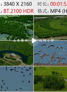 航拍黑龙江大庆龙凤湿地大沾河湿地保护区扎龙丹顶鹤实拍视频素材