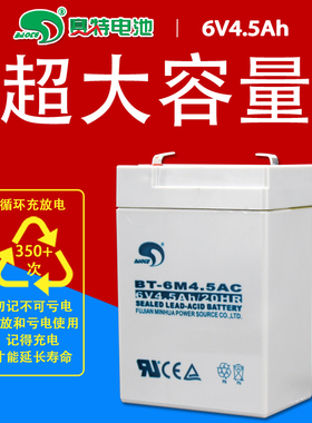 台湾赛特电子秤6V4.5Ah/20hr吊称蓄电池玩具儿童车BT-6M4.5AC电瓶