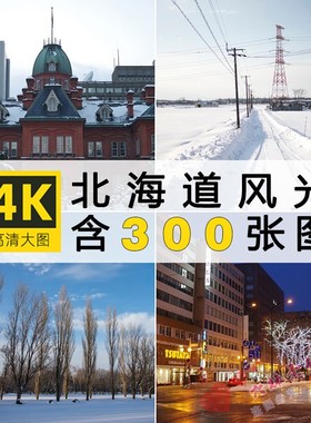 4K高清日本北海道风景札幌城市街道地标摄影照片高清JPG图片素材
