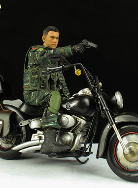 和平使命兵人军人士兵警察人偶手办摩托车模型1/6中国解放军仿真