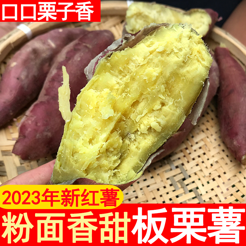 新鲜陕西临潼沙地板栗红薯带箱10斤农家自种黄白心番薯产地直销