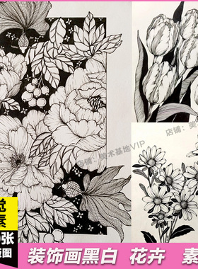 装饰画黑白手绘植物花卉白描线稿线条画视觉传达平面设计图片素材