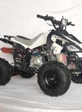 110-125cc大小火星沙滩车全地形ATV四轮越野车，农夫车雪地摩托车