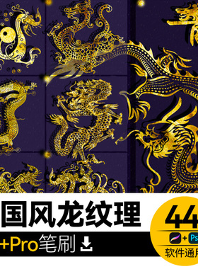 中国风传统复古龙纹样装饰图案素材PS笔刷 procreate笔刷ipad绘画