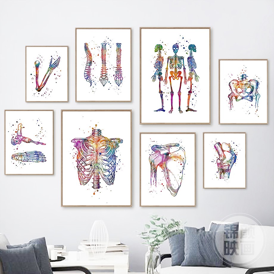 人类解剖学北欧海报胸椎骨盆四肢骨骼艺术绘画装饰画医生房间壁画