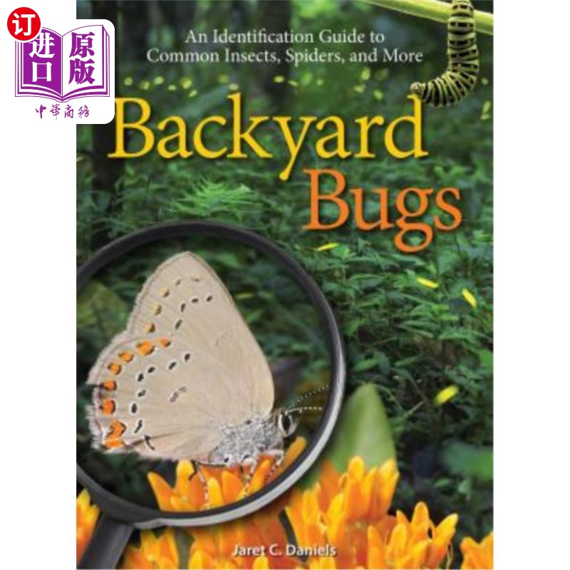 海外直订Backyard Bugs: An Identification Guide to Common Insects, Spiders, and More 后院虫子：常见昆虫、蜘蛛等的识别指南