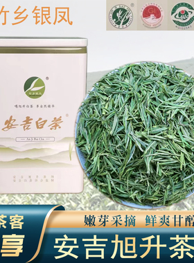 正宗安吉白茶2024新茶原产明前特级珍稀白茶高山绿茶茶叶散装罐装