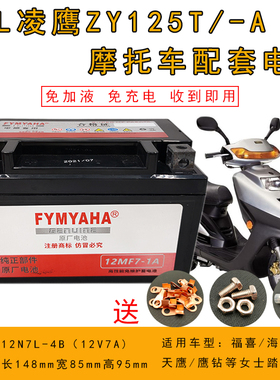 适用雅马哈4KL凌鹰ZY125T/A踏板女装摩托车电瓶12V7A免维护干电池