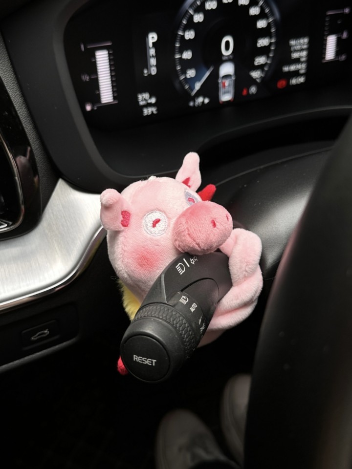 可爱芭蕾舞猪汽车创意个性怀档装饰车饰汽车转向灯雨刮器车内装饰