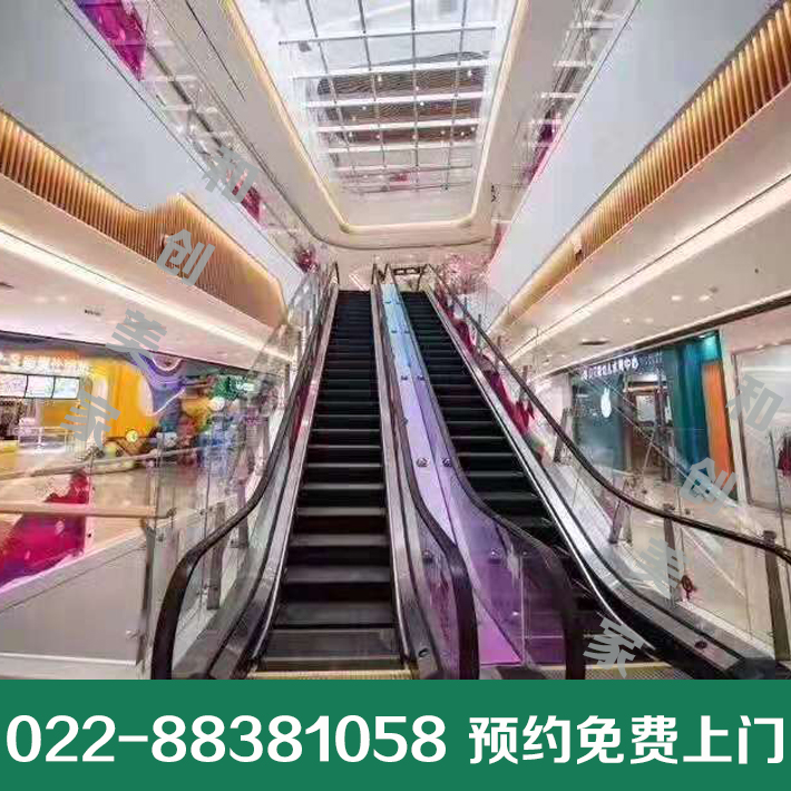 德国帝奥自动扶梯 商场超市扶梯 自动人行道商场电梯天津电梯实体