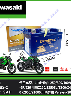 川崎Ninja Z250 Z300 Z400 Z800 ZD900 Z900RS Z1000SX 摩托车电