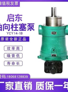 柱塞泵10/ 25/40/63/80/160/250YCY14-1B变量泵高压油泵