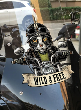 汽车贴纸猫电动摩托哈雷机车电摩车头个性创意装饰前挡风玻璃潮