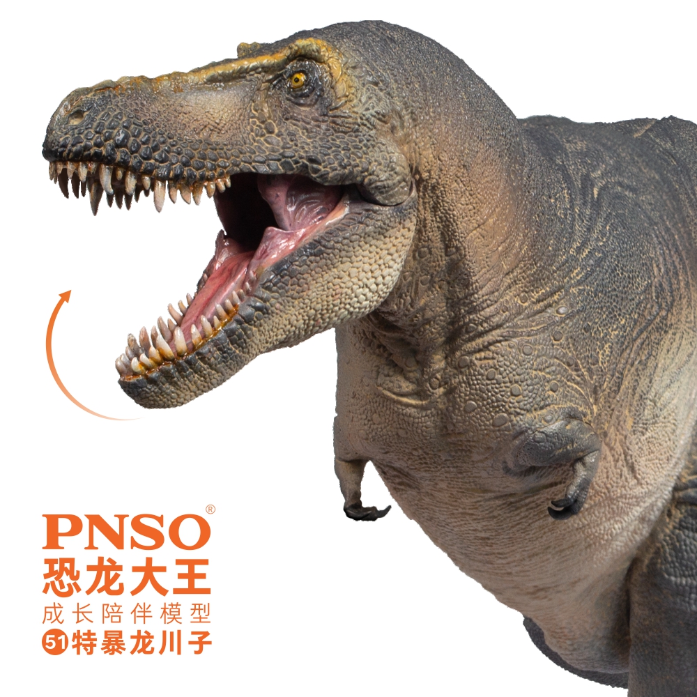 PNSO恐龙大王仿真侏罗纪恐龙玩具成长陪伴史前模型51特暴龙川子