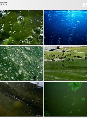 水质环保海洋环境清澈海水污染地球生命微生物保护环境视频素材