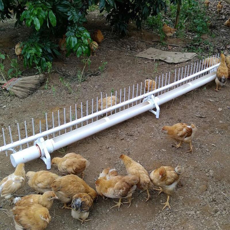 喜普护栏式鸡用自动饮水器鸡喝水的养鸡鸭鹅鸽子家禽喂水器鸭鹅饮