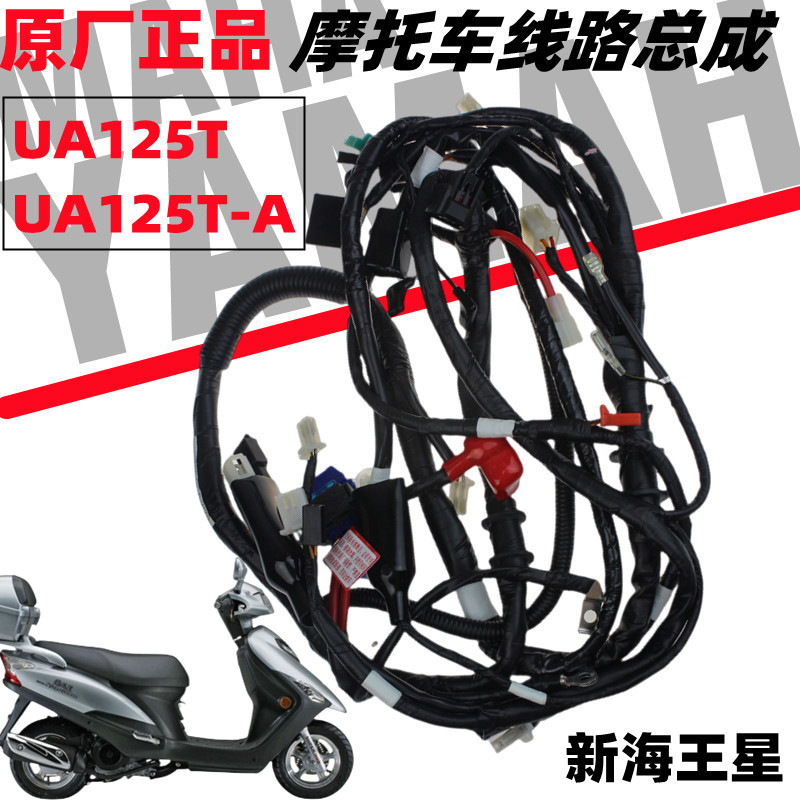 原装摩托车电喷铃木海王星UA125T UA125T-A全车电缆大线 线路总成