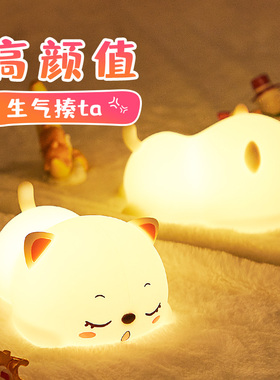 呼噜猫硅胶小夜灯可充电款卧室床头睡眠拍拍女孩氛围网红台灯礼物