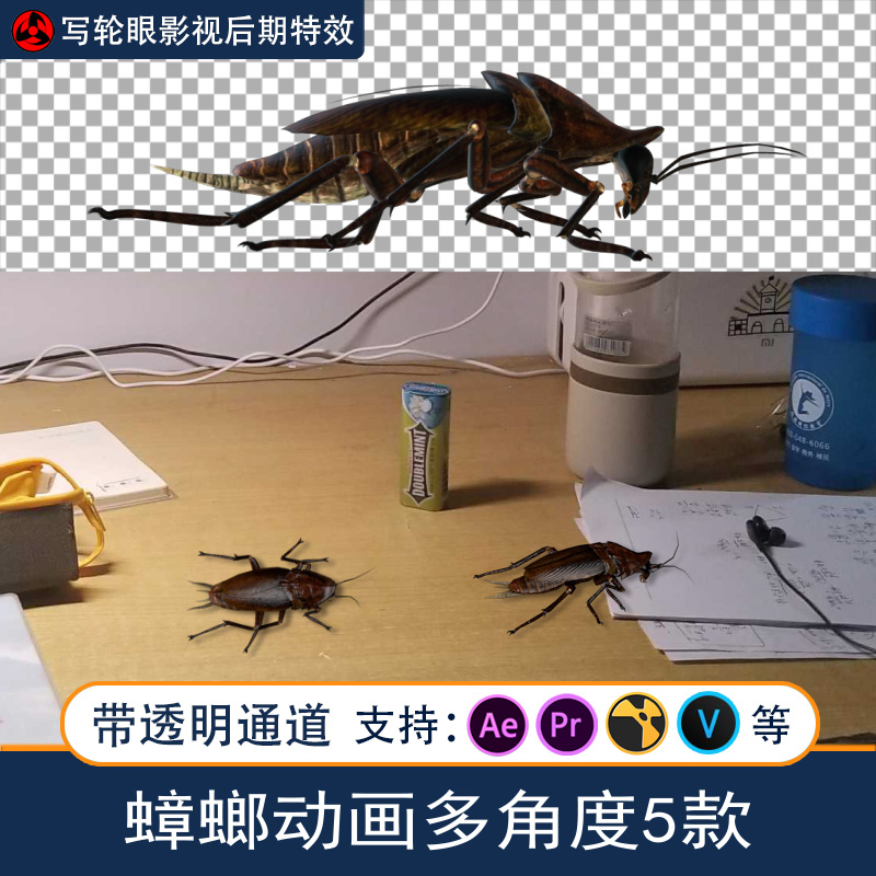 蟑螂爬行CG三维动画视频素材AE/PR/抖音影视后期特效带透明通道